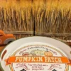 Pumpkin Patch Serving Tray - Image 2
